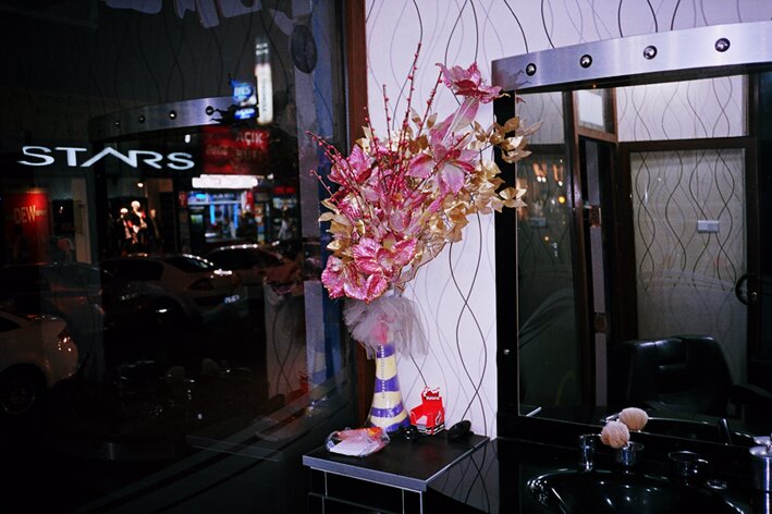 Fake Plant.