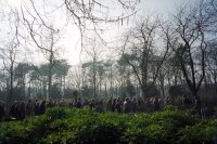 132_selim01a-1-2.jpg